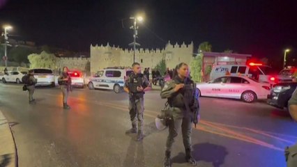 이스라엘 경찰, 예루살렘에서 흉기 피습..."테러범 사살" / YTN