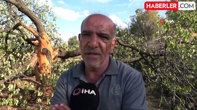 Elazığ'da Köylüler Yıldırım Korkusuyla Yağmurlu Havaları Bekliyor