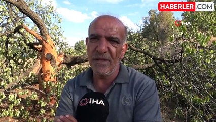 Elazığ'da Köylüler Yıldırım Korkusuyla Yağmurlu Havaları Bekliyor