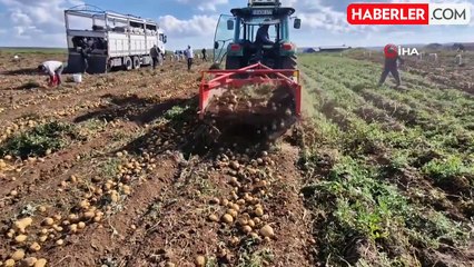 Çiftçi, Satamadığı Patatesleri Ücretsiz Dağıttı