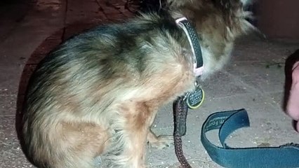 Villanova actually had all 4 legs on floor, which I hadn't seen in a long while; I push envelope VID_20240916_213229444