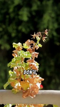 motivational #reels #motivation #viralshort #shortvideo #trueline #english #trending #video #tiktok #whatsappstatus