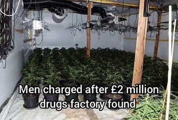 Men charged after cannabis factory found