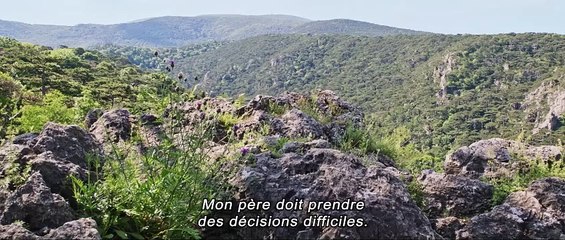 Veni Vidi Vici - Trailer