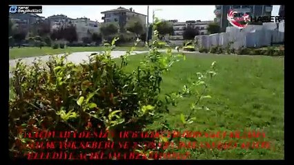 YALOVADA DENİZ VAR AMA BALIKÇILIK YOK NEDEN