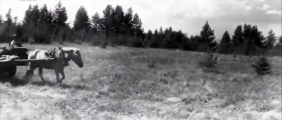 Mist of a New Grass | movie | 1977 | Official Teaser