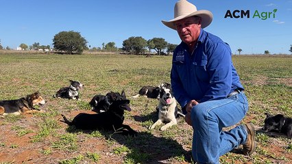 Working dog trainer, Paul Wroe | Queensland Country Life