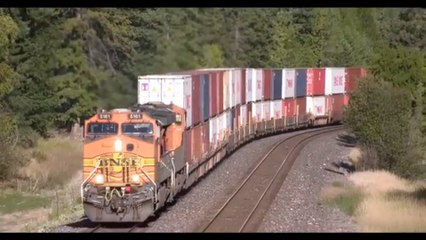 Double Meet with Stack Trains and Vehicle Trains