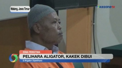Kakek di Malang Divonis 5 Bulan Penjara gara-gara Pelihara Ikan Aligator