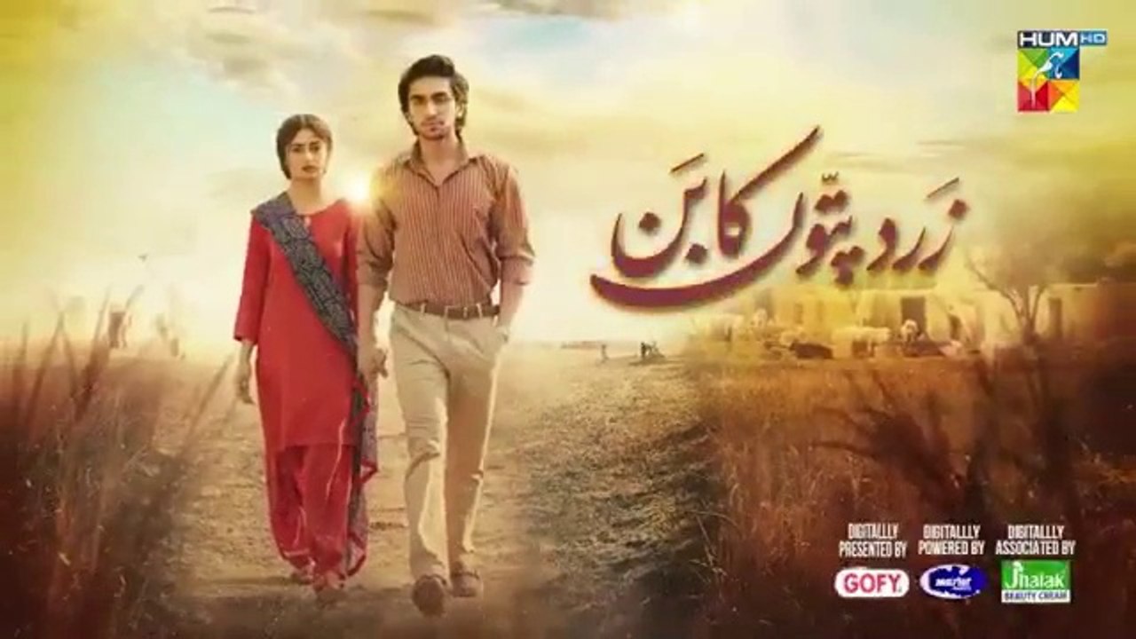 Zard Patton Ka Bunn - Episode 20 [CC] - 09 sep 24 - Mothercare, Master Paints & Jhalak Beauty Cream