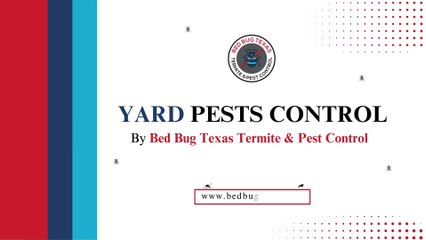 Yard Pests Control By Bed Bug Texas Termite & Pest Control