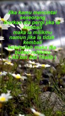 Kata bijak dan Motivasi Islami