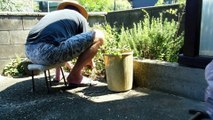 Neglected Corner Project at the Old Japanese Farm House