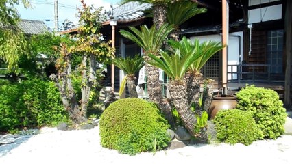 Japanese Temple Grounds