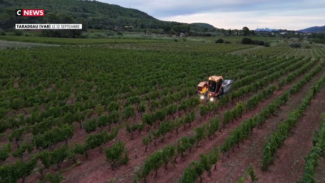 Le vin rosé fait face aux changements climatiques