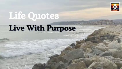 12 | Life Quotes  #lifequotes #quotesforlife #inspirational