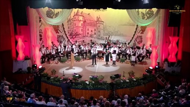 Valentin Vadrariu - Premiul in memoriam Stelian Stoica (Fest. Strugurele de aur - Alba-Iulia - 06.08.2024)