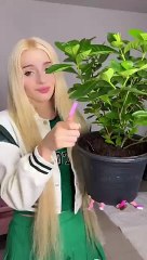 My cat really liked the trick _cat _cats(360P)