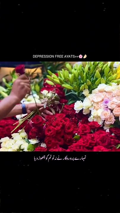 DEPRESSION FREE AYATS __