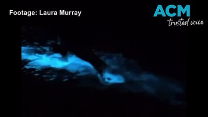 Bioluminescence captured on NSW Far South Coast