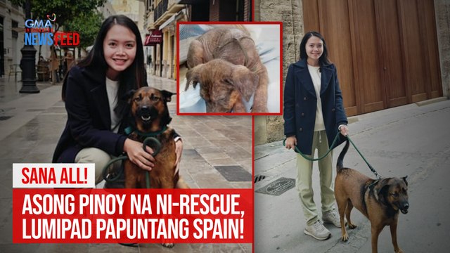 Sana all! Asong Pinoy na ni-rescue, lumipad papuntang Spain! | GMA Integrated Newsfeed