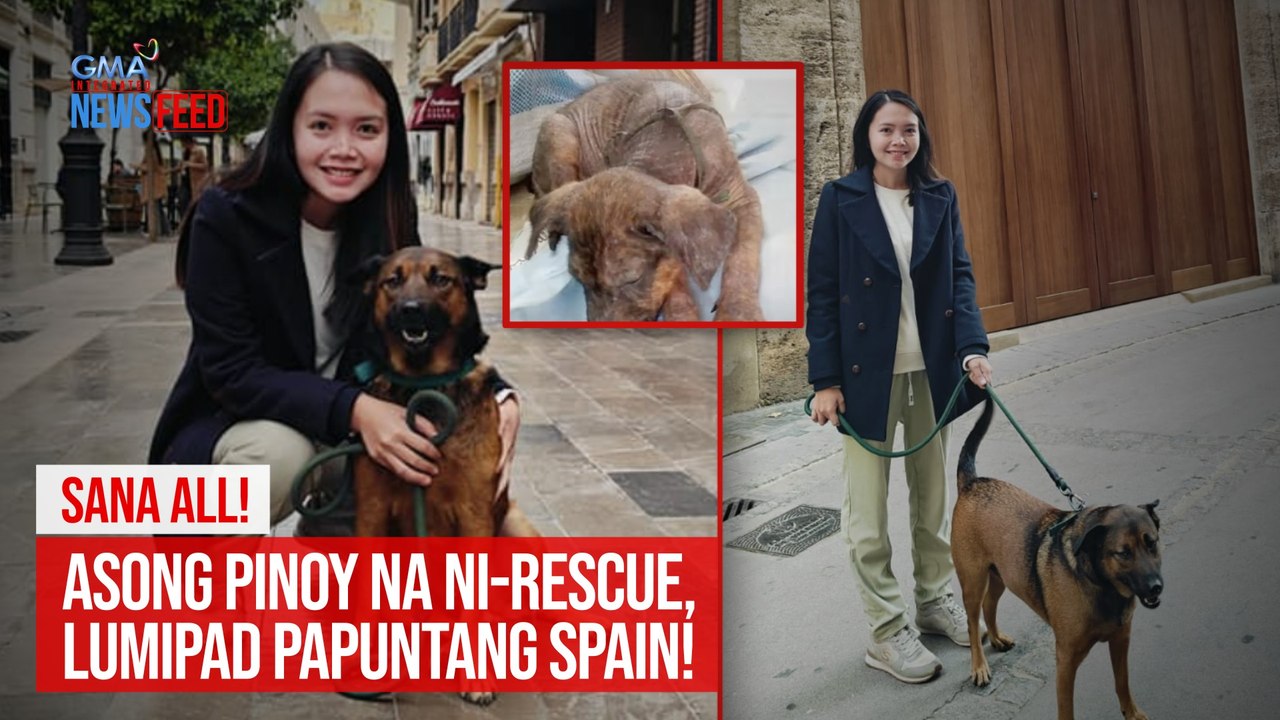 Sana all! Asong Pinoy na ni-rescue, lumipad papuntang Spain! | GMA Integrated Newsfeed