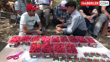 Kütahya'da Ahududu Şenliği Coşkuyla Kutlandı