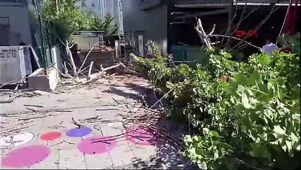 İstanbul'da ağaç devrildi; faciadan dönüldü