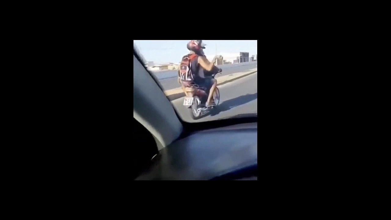 Laisse ton chien prendre le volant du scooter et découvre une aventure inoubliable !