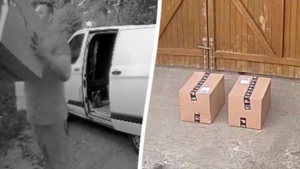 WATCH - Yodel delivery driver throws woman's order over 6ft gate