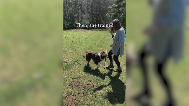 Un perro se queda mirando lo que hacen sus dueños y lo que consigue imitándolos ya es historia de internet