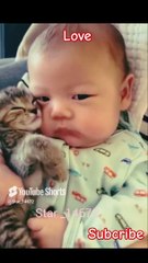 __Love__ #cat #baby #music #love #shorts @Star_14672
