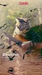 __Music play__√ #shorts #001 #funny #ai  #cat @Star_14672