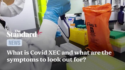 What is Covid XEC and what are the symptoms to look out for?