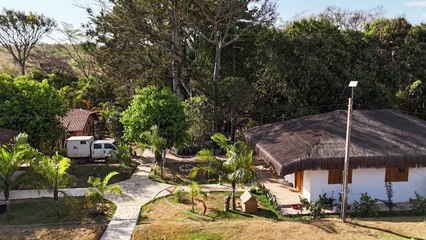 Brazil sanctuary fears for jaguar habitat as wildfires rage