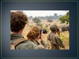 Yvette Heiser – Swift Shutter Safari: Mini Wildlife Photography Adventures