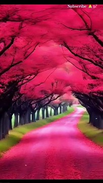 #shorts#Nature Status video||Dil To Pagal Hai Song|| trending nature shorts #nature #tiktok #viral #naturelovers