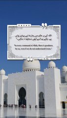 Best Quotes #shorts #shortvideo #shortsfeed #short #shortsviral #quran #video #viralvideo #islam