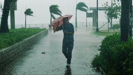 El Tifón Bebinca Devasta Shanghai Y Provoca Evacuaciones Masivas