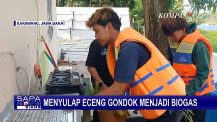 Usaha Pemuda di Karawang Mengubah Eceng Gondok Menjadi Biogas