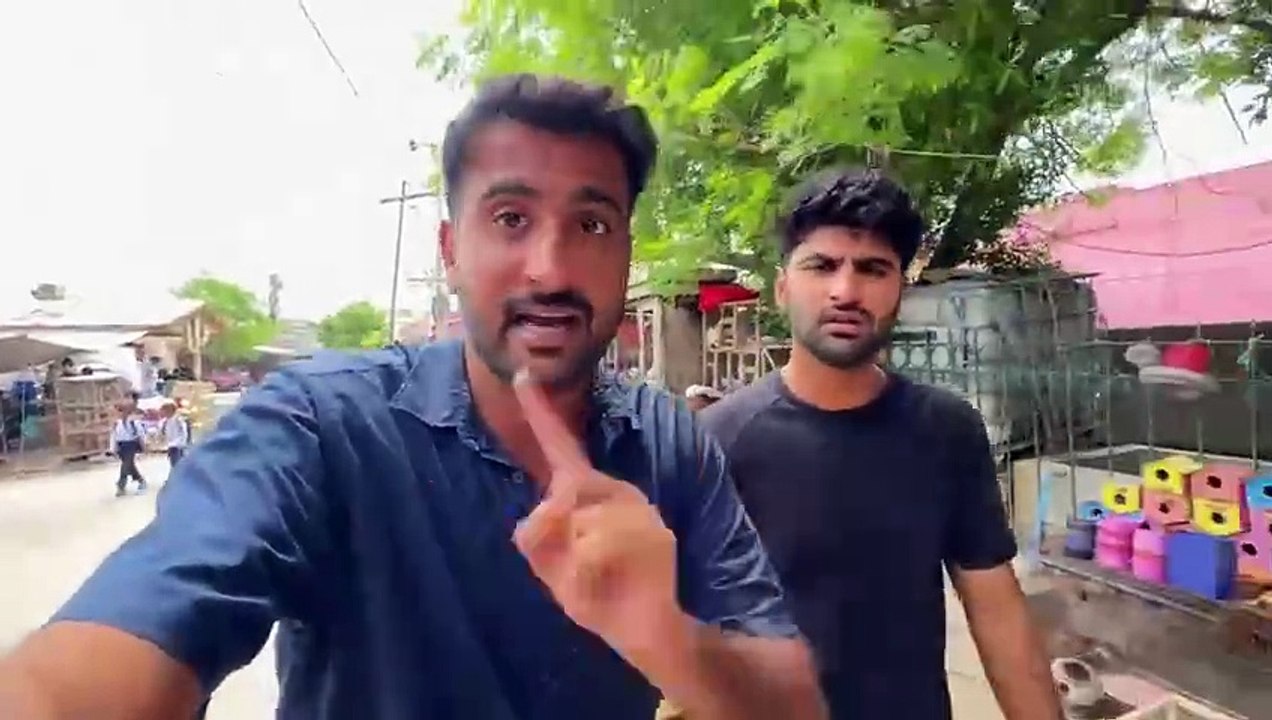 shehar mein dehat ep 46 2024 animal mini zoo Kafi Dino Bad Birds Markeet Gaiy Or Mila Kuch Bhi Nhi