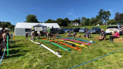 Ferret racing (Will Goddard, Crediton Courier)