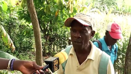Ministè anviwònman lanse pwojè "HIMO Verts" nan depatman Nò ak Latibonit ki vize rebwaze tout peyi a
