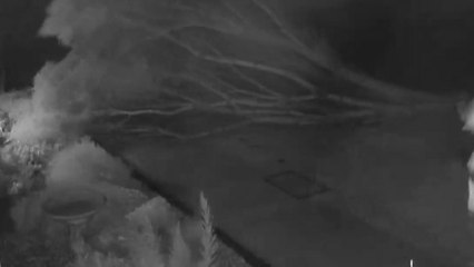 Wild winds and lightning cause tree to collapse outside house in Melbourne