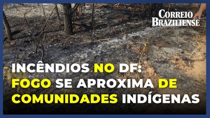 Incêndio no Noroeste: fogo se aproxima das comunidades indígenas