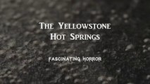 The Yellowstone Hot Springs | A Short Documentary | Fascinating Horror