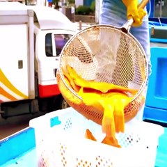 Fantastic Fish Food processing...you must like it