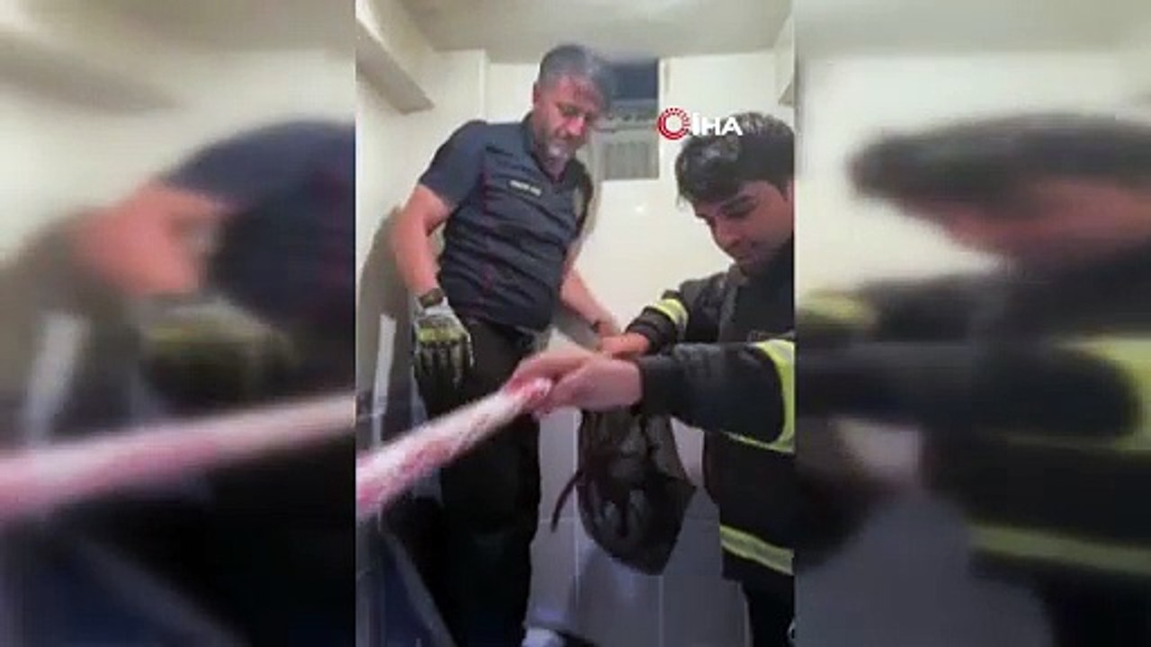 Sivas'ta yolunu kaybeden güvercinler böyle kurtarıldı