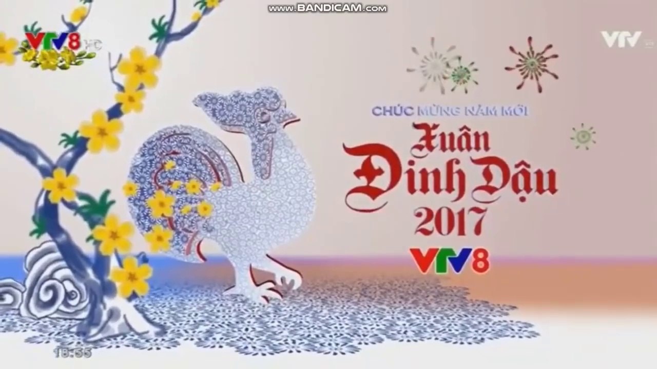 VNTV| VTV8 IDENT TẾT ĐINH DẬU 2017 (1)
