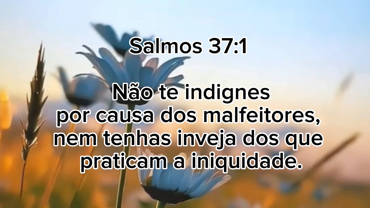 Não te indignes!